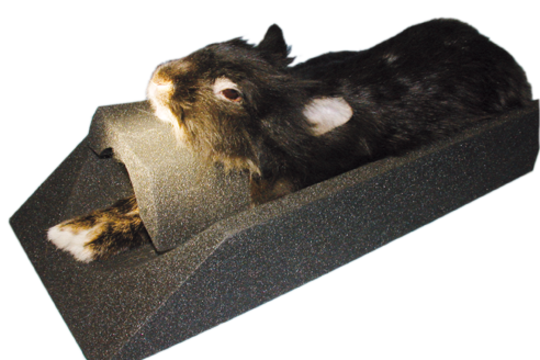 Veterinary Positioning Mattress from DENTO-DORM