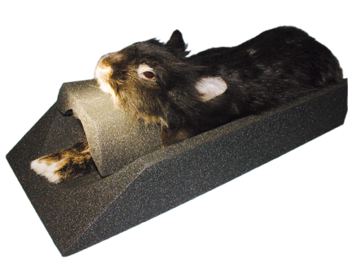 Dento-Dorm Positioning Mattress, Size S